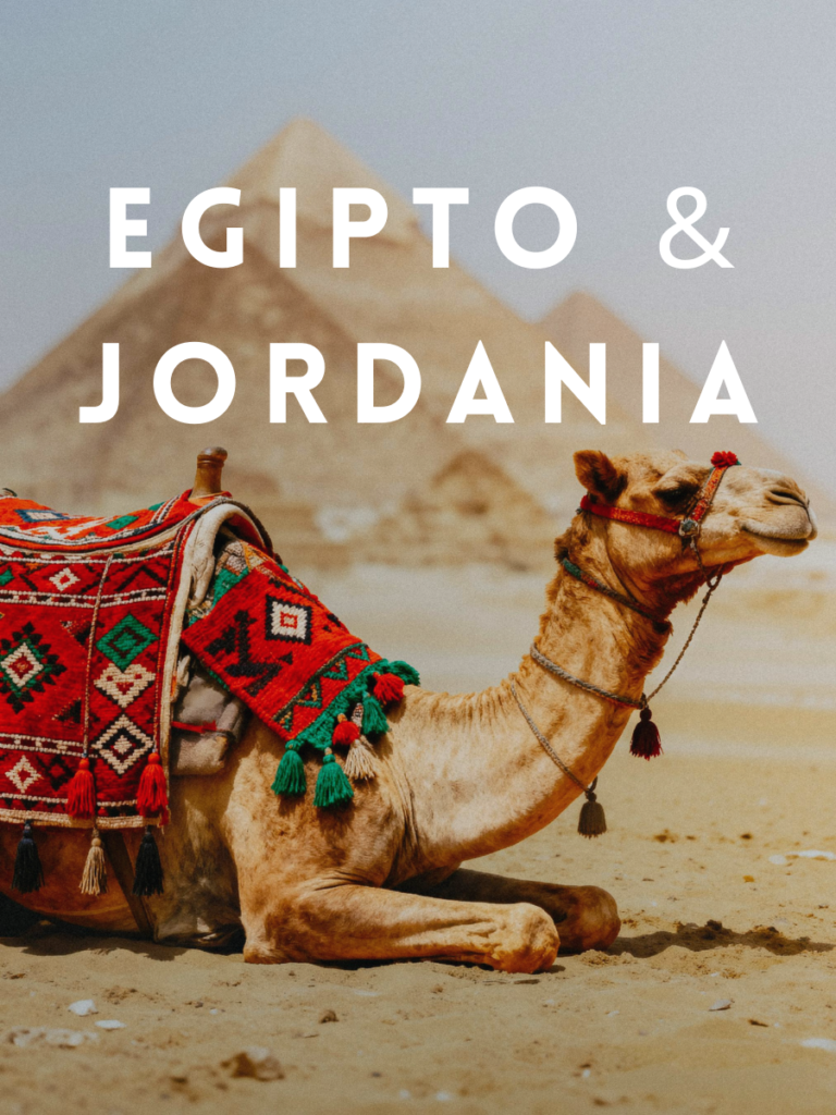 Momentos reales de viajes organizados por Delicias Tours con grupos y experiencias personalizadas