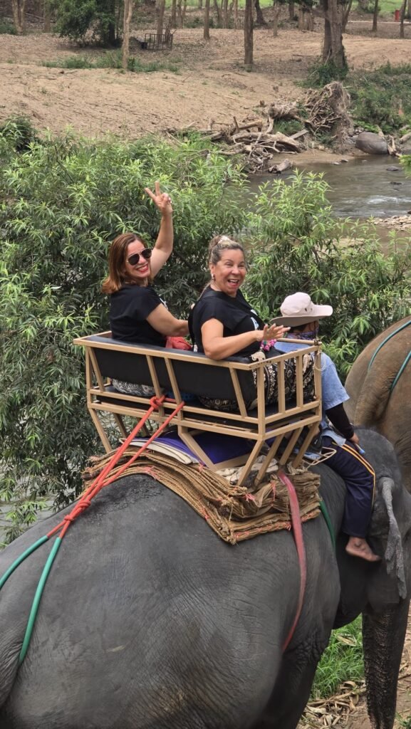 Momentos reales de viajes organizados por Delicias Tours con grupos y experiencias personalizadas