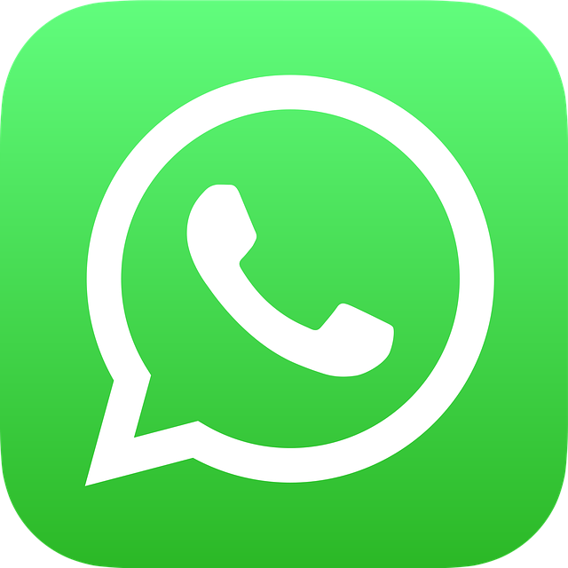 Icono WhatsApp